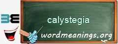 WordMeaning blackboard for calystegia